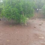IMG_20250501_070451_205