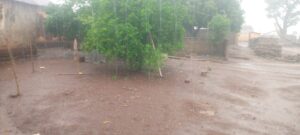 IMG_20250501_070451_205