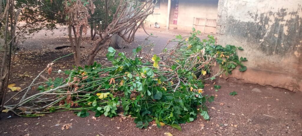 FB_IMG_1770717164577