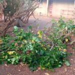 Pourquoi cette pluie monstre a choisi Sotouboua cette nuit-là?